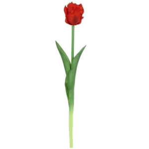 Κλαδί τουλίπα σιλικόνης σε κόκκινο χρώμα 40εκ. 013.809257 - Box In Θεσσαλονίκη - 25ης Μαρτίου 111