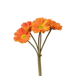 Σετ 5τμχ Τεχνητά Λουλούδια / Μπουκέτο Foam Πορτοκαλί 30cm | 816-20095 - Box In Θεσσαλονίκη - 25ης Μαρτίου 111