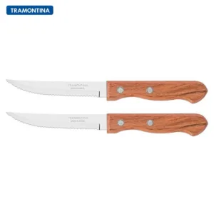 TRAMONTINA DYNAMIC ΣΕΤ 2 ΜΑΧΑΙΡΙΑ STEAK 10εκ. – 22311/204-Box in Thessaloniki