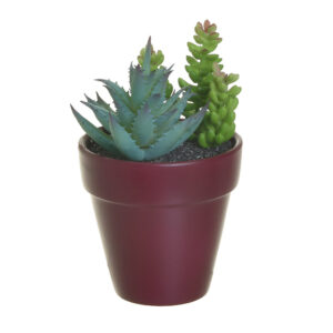 INART ΦΥΤΟ ΣΕ ΓΛΑΣΤΡΑΚΙ Υ16 3-85-475-0295 - Box In Θεσσαλονίκη - 25ης Μαρτίου 111