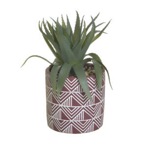 INART ΦΥΤΟ ΣΕ ΓΛΑΣΤΡΑΚΙ Υ17 3-85-475-0293 - Box In Θεσσαλονίκη - 25ης Μαρτίου 111