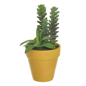 INART ΦΥΤΟ ΣΕ ΓΛΑΣΤΡΑΚΙ Υ19 3-85-475-0296 - Box In Θεσσαλονίκη - 25ης Μαρτίου 111