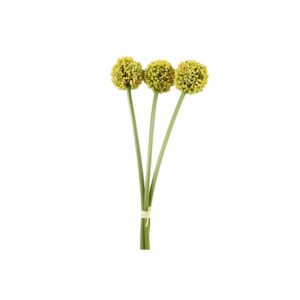 Allium κίτρινο Χ3  55εκ. 013.807436