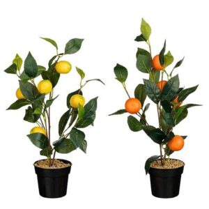 Δέντρο λεμονιά/πορτοκαλιά σε κασπώ Φ18 Η45cm 02.1159771