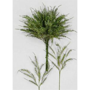 Κλαδί δενδρολίβανο 00.17.12068