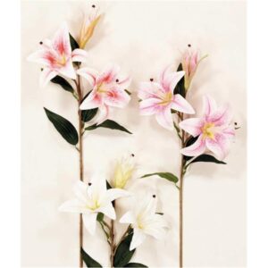 Κλαδί λίλιουμ real touch 00.17.25124