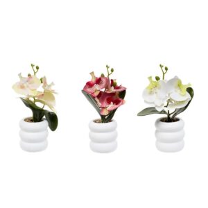 Ορχιδέα σε κασπώ 3χρώματα 11x23cm 07.214115