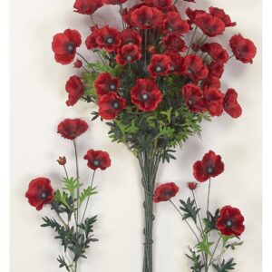 Παπαρούνα κλαδί 00.17.12102