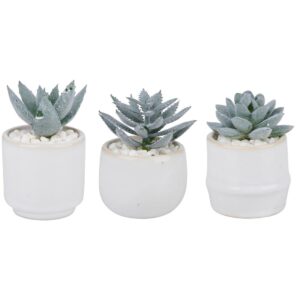 παχύφυτο σε κασπώ κεραμ.λευκό 3σχέδια 6x10cm 03.33552