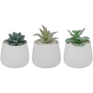 παχύφυτο σε κασπώ κεραμ.λευκό 3σχέδια 8