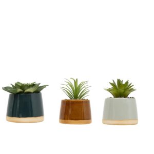 Παχύφυτο σε κεραμ.κασπώ/3χρώματα 8