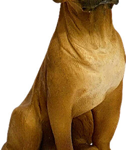 Διακοσμητική φιγούρα Σκύλος από πολυρεσίνη  6X9 Etoile  TK-6582 - Box In Θεσσαλονίκη - 25ης Μαρτίου 111