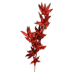 Κλαδί Camasia κόκκινο Η100cm | 012.862192065 - Box In Θεσσαλονίκη - 25ης Μαρτίου 111