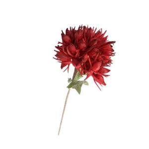 Κλαδί Αγάπανθος κόκκινο Η78cm | 012.862192115 - Box In Θεσσαλονίκη - 25ης Μαρτίου 111