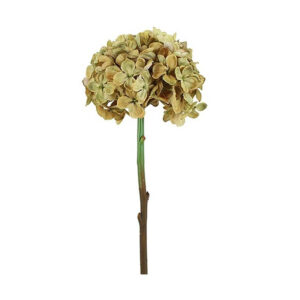 Κλαδί ορτανσία μπεζ 18Χ18Χ46cm | 013.810998 - Box In Θεσσαλονίκη - 25ης Μαρτίου 111