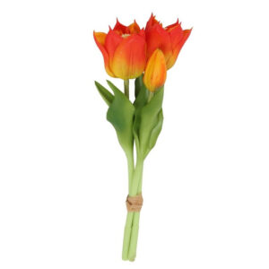 Μπουκέτο τουλίπες πορτοκαλί 10x30cm. | 013.831156 - Box In Θεσσαλονίκη - 25ης Μαρτίου 111