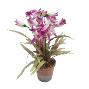 Ορχιδέα μωβ σε κερα.κασπώ 37εκ. - Box In Θεσσαλονίκη - 25ης Μαρτίου 111