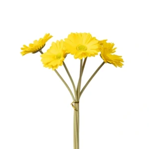 Σετ 5τμχ Τεχνητό Λουλούδι / Μπουκέτο Foam Κίτρινο 30cm | 816-20093 - Box In Θεσσαλονίκη - 25ης Μαρτίου 111
