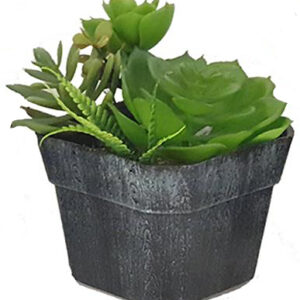 Τεχνητοί κάκτοι σε πλαστικό κασπώ 13εκ. MOD 00.04.40004C - Box In Θεσσαλονίκη - 25ης Μαρτίου 111