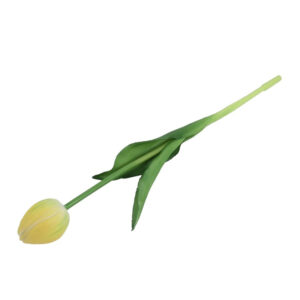 Τουλίπα κλαδί σε κίτρινο / κρεμ χρώμα 43εκ. 013.822541 - Box In Θεσσαλονίκη - 25ης Μαρτίου 111