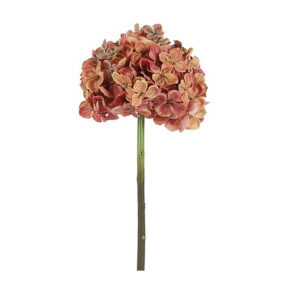 Κλαδί ορτανσία ροζ/σάπιο μήλο 18Χ18Χ46cm | 013.810999 - Box In Θεσσαλονίκη - 25ης Μαρτίου 111