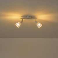Σποτ με διχτυ μεταλλο 2φωτο 2xe14 max 8w 255x80x145mm λευκο Arte Illumina meshy