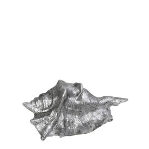 ΚΟΧΥΛΙ ΑΣΗΜΙ  14X10X6CM. - Box In Θεσσαλονίκη - 25ης Μαρτίου 111