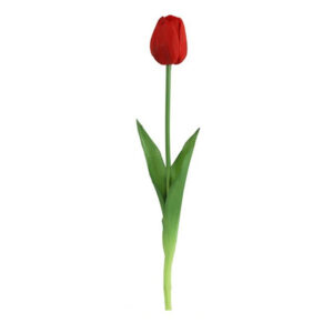 Τουλίπα Κλαδί Σιλικόνης Real Touch Κόκκινη 44cm 013.802421 - Box In Θεσσαλονίκη - 25ης Μαρτίου 111