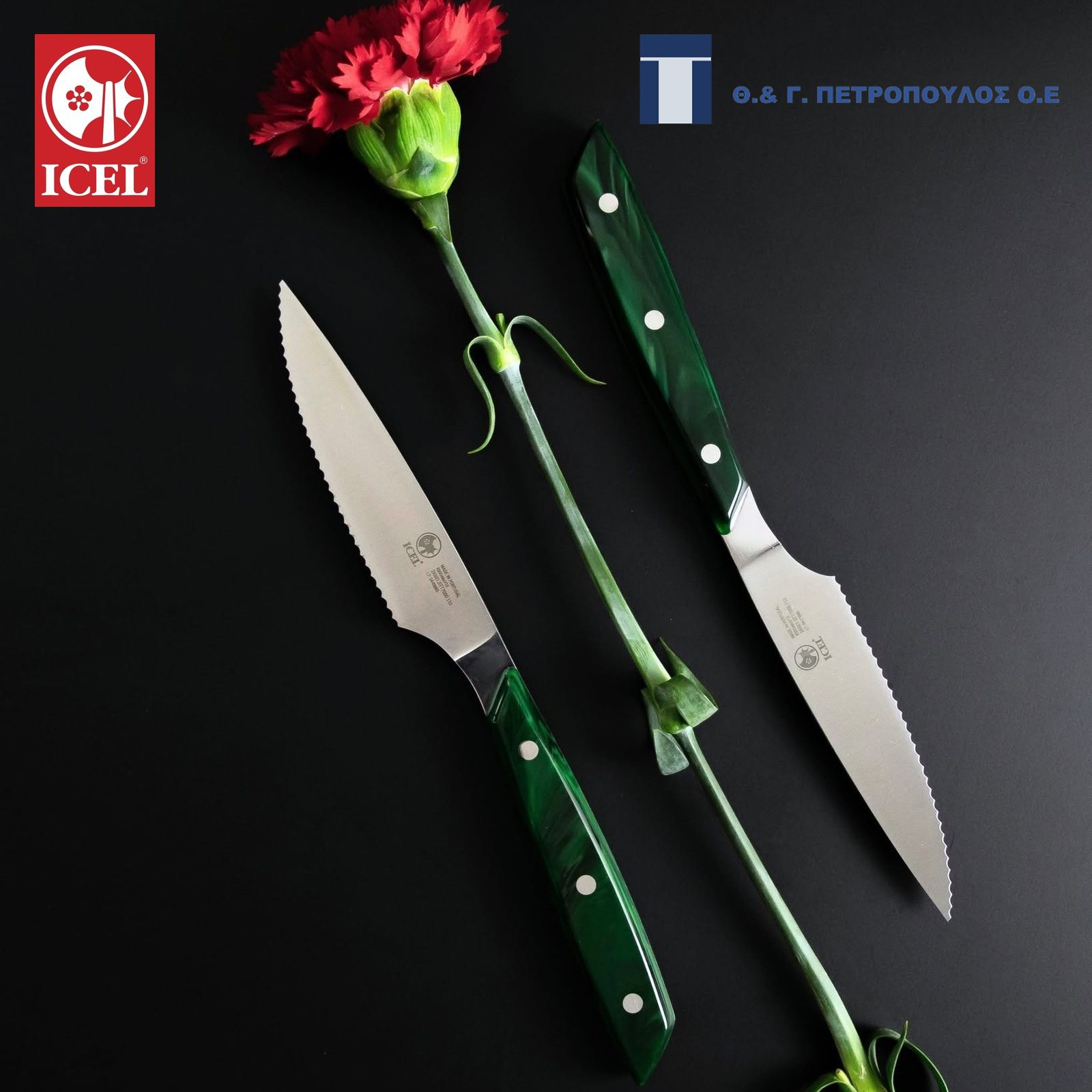 ICEL SELECAO MESA ΜΑΧΑΙΡΙ STEAK 11 εκ. ΑΚΡΥΛΙΚΗ ΠΡΑΣΙΝΗ ΛΑΒΗ-Box in Thessaloniki
