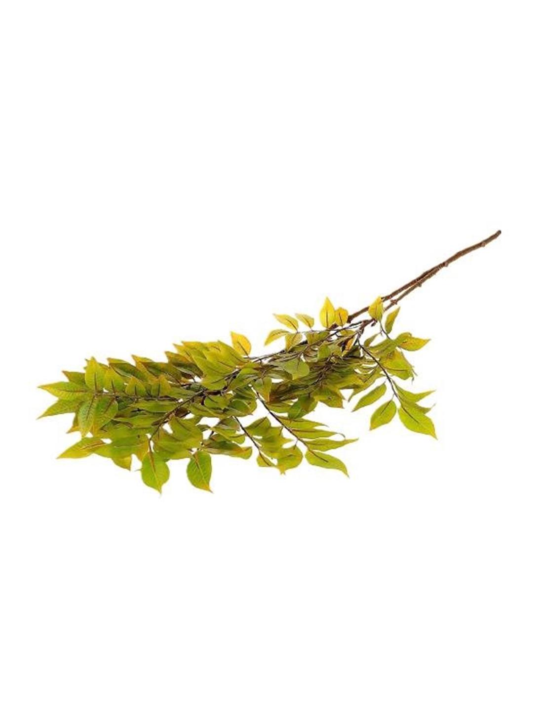 Sambucus κλαδι πράσινο 110εκ. 012.852502186