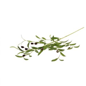 Τεχνητό Κλαδί Ελιάς με Καρπούς Y90cm | 012.862613012 - Box In Θεσσαλονίκη - 25ης Μαρτίου 111