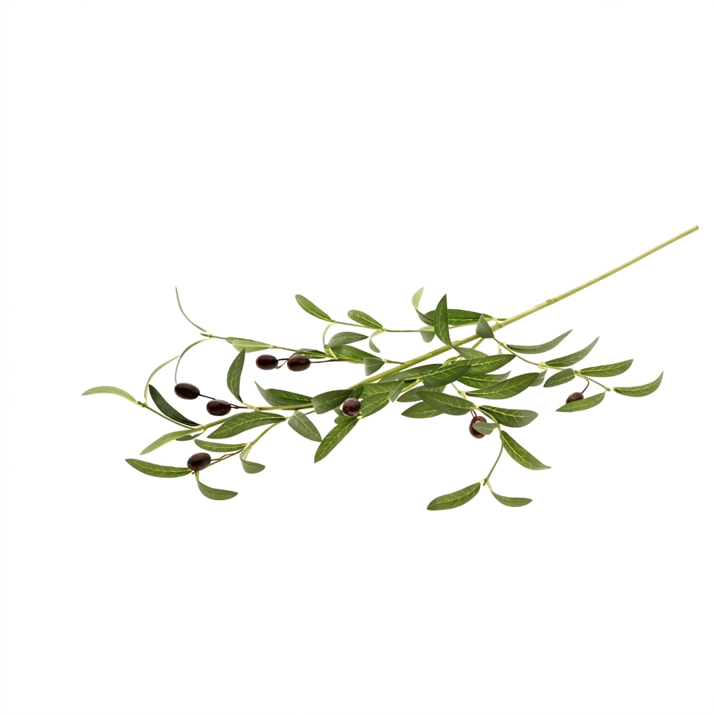 Τεχνητό Κλαδί Ελιάς με Καρπούς Y90cm | 012.862613012 - Box In Θεσσαλονίκη - 25ης Μαρτίου 111