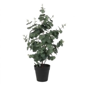 Τεχνητός Ευκάλυπτος σε Κασπώ Ø35xH65cm | 013.807759 - Box In Θεσσαλονίκη - 25ης Μαρτίου 111