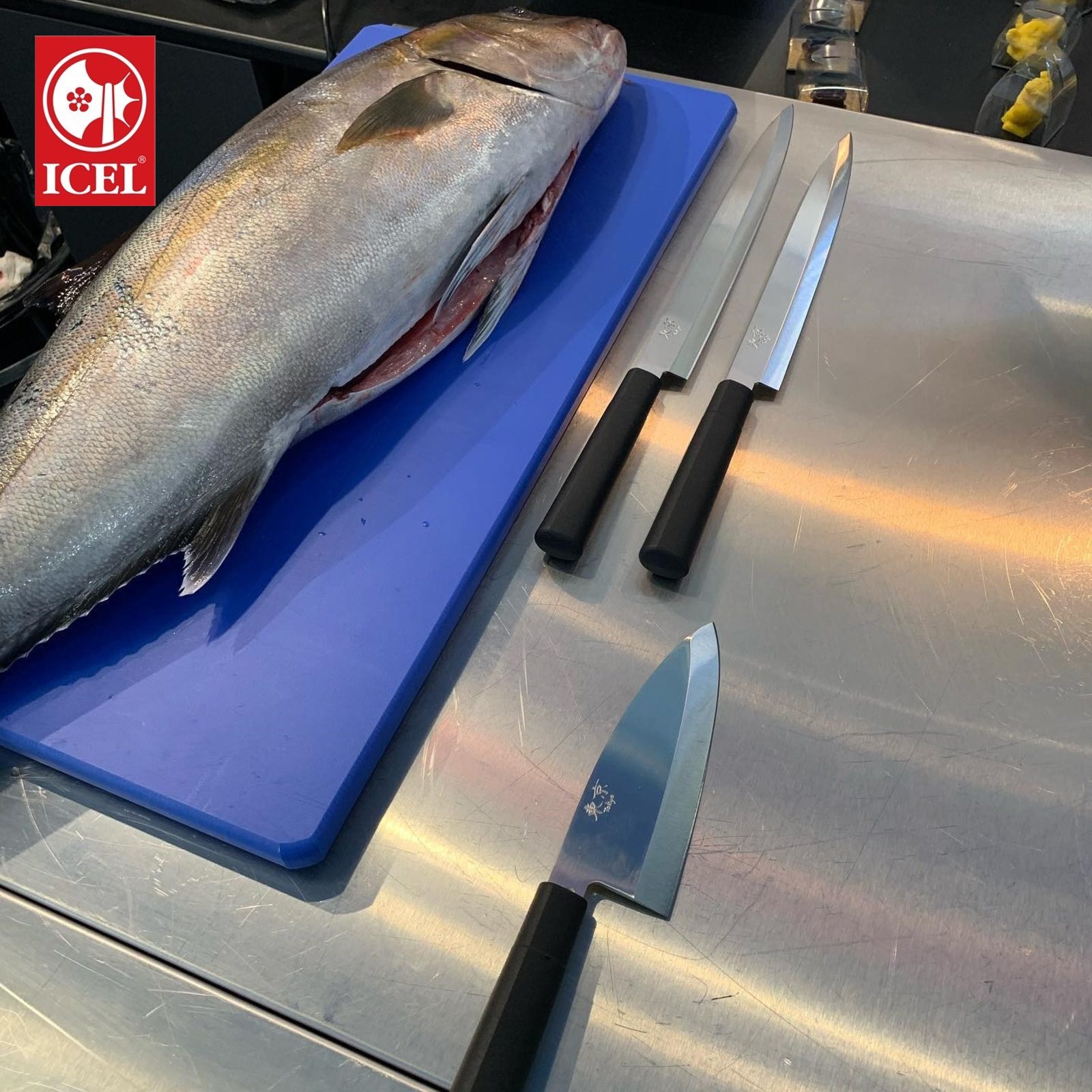 Icel tokyo yanagiba μαχαιρι sushi 21εκ. | 281.TK14.21 - Image 4