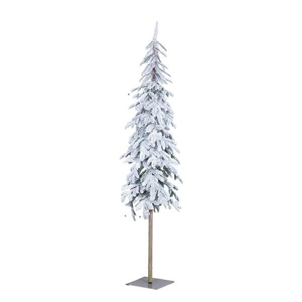 ΔΕΝΤΡΟ ΧΙΟΝΙΣΜΕΝΟ ΑΥΓΗ ΜΙΝΙΜΑΛ PE 180cm