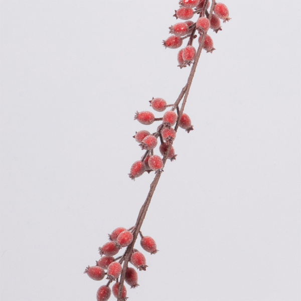 ΚΛΑΔΑ MIXED ΜΕ ΚΟΚΚΙΝΑ ΚΡΥΣΤΑΛΙΖΕ BERRIES 150cm