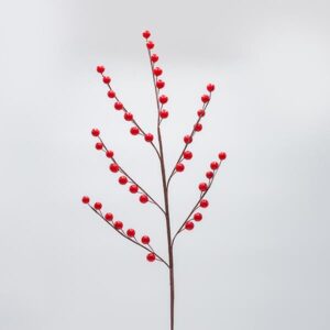 ΚΛΑΔΙ ΜΕ ΚΟΚΚΙΝΑ BERRIES