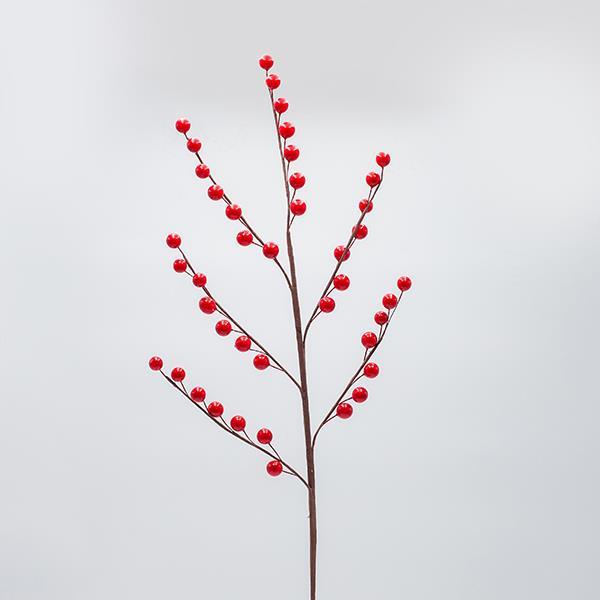 ΚΛΑΔΙ ΜΕ ΚΟΚΚΙΝΑ BERRIES
