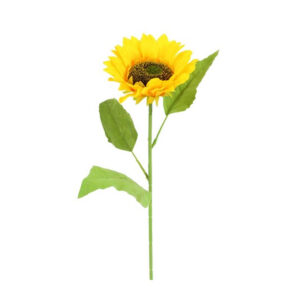 Κλαδί Ηλιοτρόπιο  Φ12 Η77cm 013.816983 - Box In Θεσσαλονίκη - 25ης Μαρτίου 111