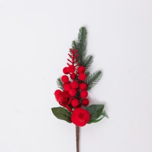 ΠΙΚΑΚΙ ΜΕ ΒΕΛΟΥΔΙΝΑ ΚΟΚΚΙΝΑ BERRIES