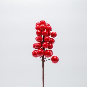 ΠΙΚΑΚΙ ΜΕ ΚΟΚΚΙΝΑ BERRIES
