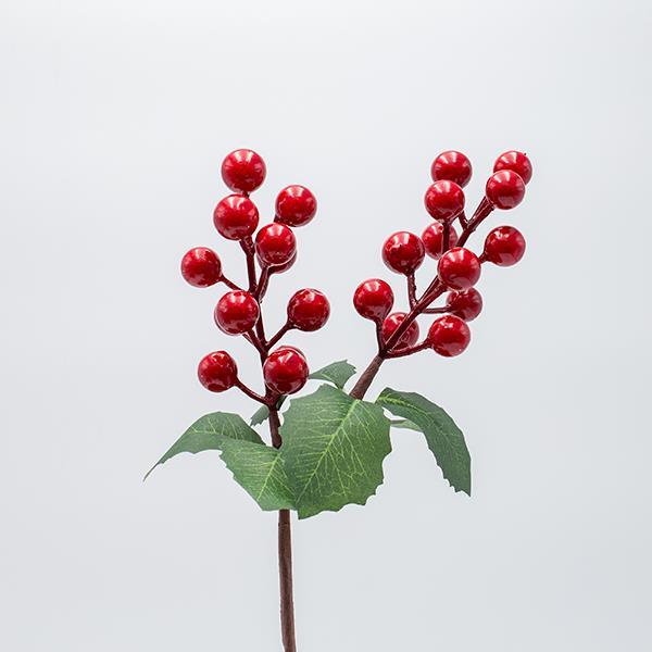 ΠΙΚΑΚΙ ΜΕ ΚΟΚΚΙΝΑ BERRIES ΚΑΙ ΠΡΑΣΙΝΑ ΦΥΛΛΑ