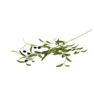 Τεχνητό Κλαδί Ελιάς με Καρπούς Y90cm | 012.862613012 - Box In Θεσσαλονίκη - 25ης Μαρτίου 111