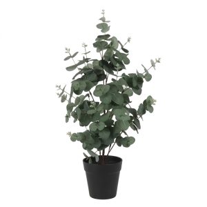 Τεχνητός Ευκάλυπτος σε Κασπώ Ø35xH65cm | 013.807759 - Box In Θεσσαλονίκη - 25ης Μαρτίου 111